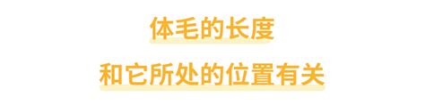 手上長毛|身上有一根毛特別長，是長壽象徵，還是癌變前兆？